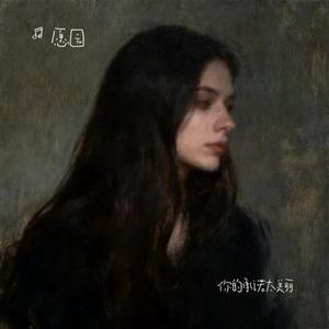 你的承诺太美丽