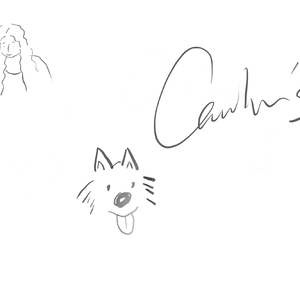 日不落(cover：蔡依林）