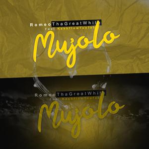 Mujolo (feat. Kashflowtoofab)