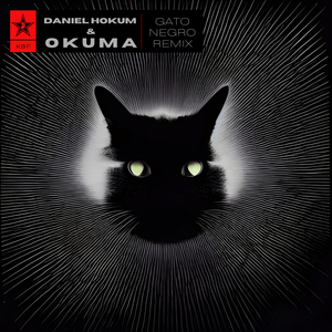 Gato Negro (Daniel Hokum & okuma Remix)