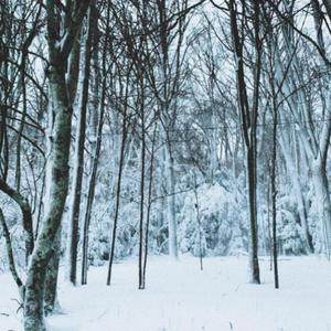 stand up (feat. sacreds)