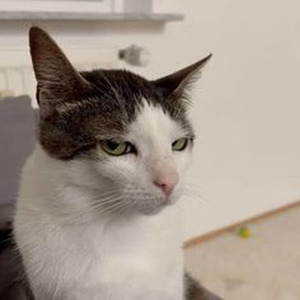 1539 N. Calvert (sped up)