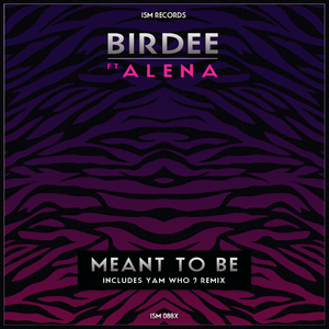 Meant to Be (Original Mix) [feat. Alena]
