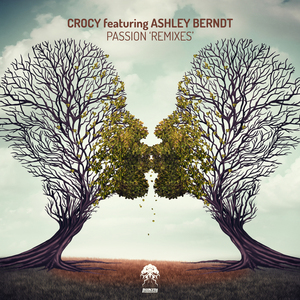 Passion (Paul Angelo & Don Argento Remix)