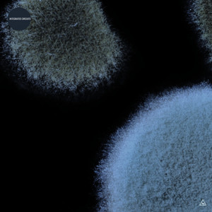 Anchor Point (Extended Mix)