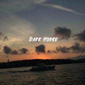 Dark Horse（2K21 Extended Mix）