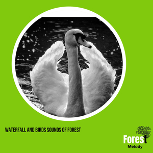 Ecstatic Northern Flicker Sing