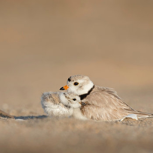 Fisuras (Original Mix)