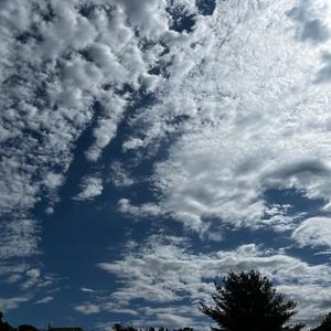 Dancing Mindfulness #1