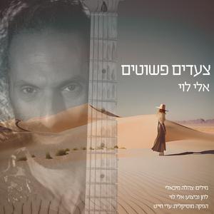 צעדים פשוטים