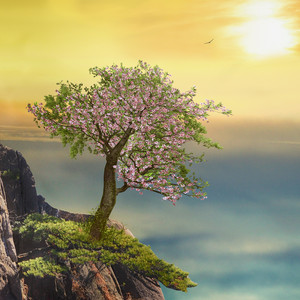 스무드 피아노 자장가 솔로