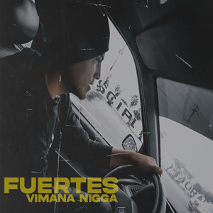 Fuertes