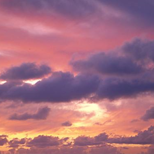 与 你 在 夕 阳 下 共 舞