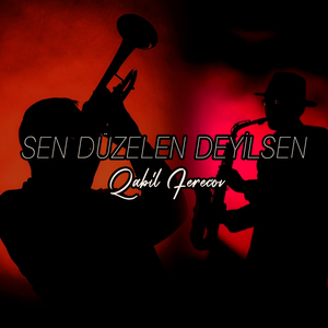 Sen Düzelen Deyilsen