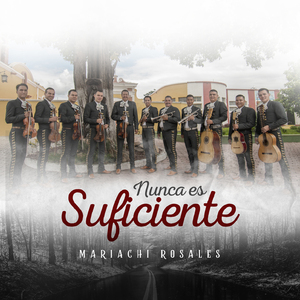 NUNCA ES SUFICIENTE