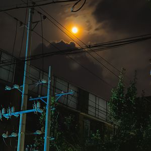 我走后(Vision of Le)