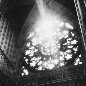 | Free | " Circling "