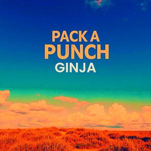 PACK A PUNCH