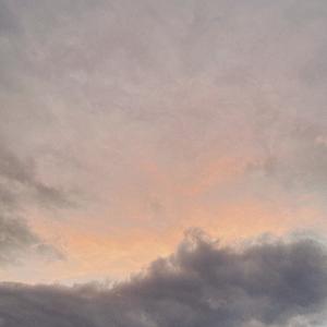 朱砂痣与白月光