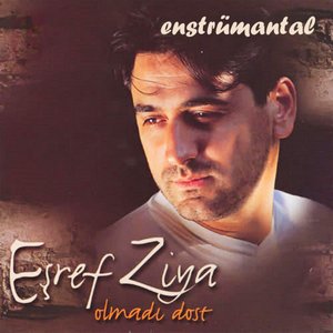 Olmadı Dost - Enstrümantal