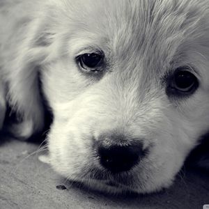 青山隐隐处水迢迢路漫