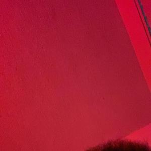 Shoota (feat. Badbug)