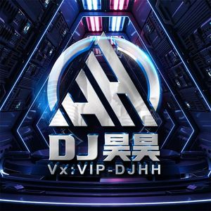 群星 / 王杰-罗昊专属怀念她的背影中英文旋律串烧（南昌DJ昊昊 remix）