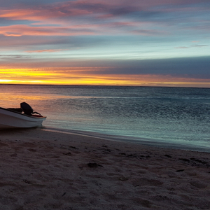 NEMINNE X BYE BYE by Polow