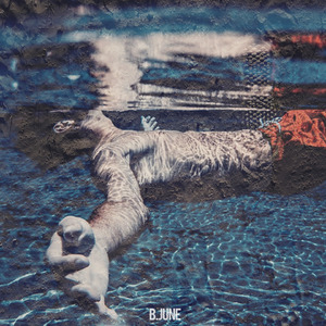 달이 비추는 길