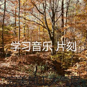 柔和的正在学习时刻