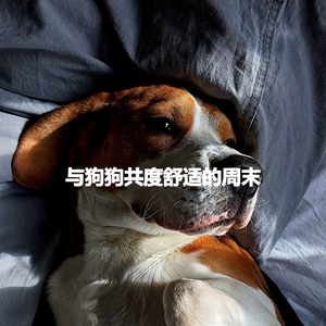 Opulent Saxophone Jazz - Vibe for Everlasting Memories