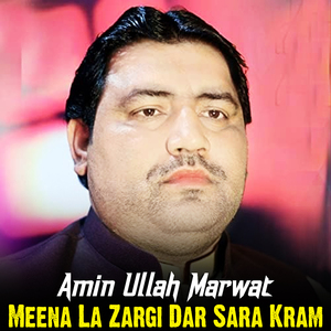 Meena La Zargi Dar Sara Kram