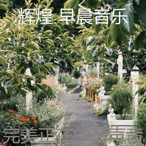 一尘不染回忆印象数