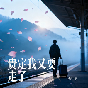 贵定我又要走了
