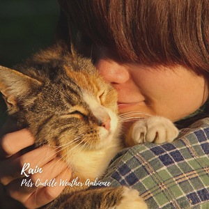 Rain Sounds and Flowing Water