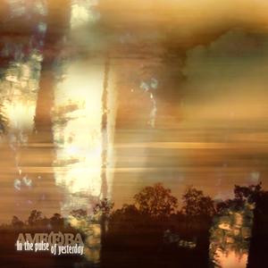 Never known (feat. EVS)