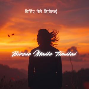 Birsie Maile Timilai (बिर्सिए मैले तिमीलाई)