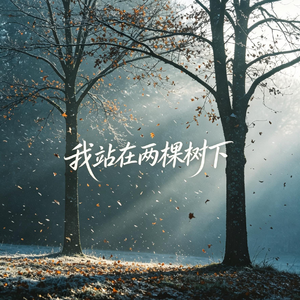 我站在两棵树下