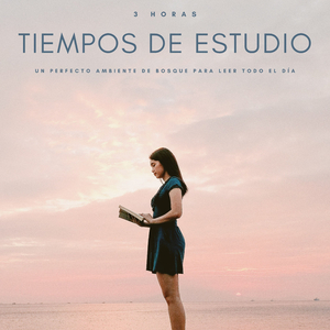 Tiempos De Estudio: Un Perfecto Ambiente De Bosque Para Leer Todo El Día - 3 Horas