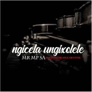 Ngicela Ungixolele (feat. NICCO NK)