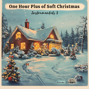 Midnight Snow Holiday Bliss