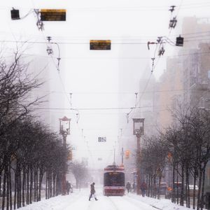 在夏天消失的城市