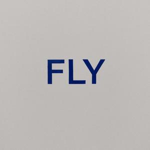Fly