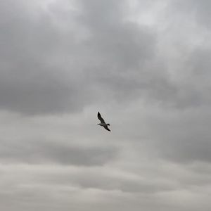 陪到（Prod by Narrow & Neil Muglurmath）