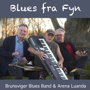 Budcykel Blues