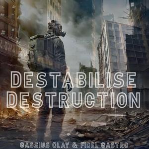 Destabilise Destruction