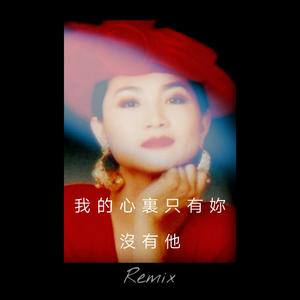 凤飞飞-我的心里只有你没有他（才仁青普力 remix）