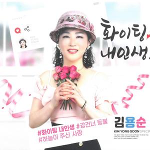 서울에서 평양까지 (디스코)