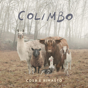 Cosa è rimasto