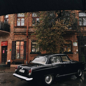 Хуй из правительства